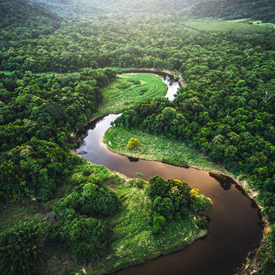 A river winding through a forest.