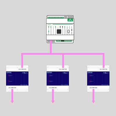 SpaceLogic C-Bus Multi-network Fundamentals - CBUS