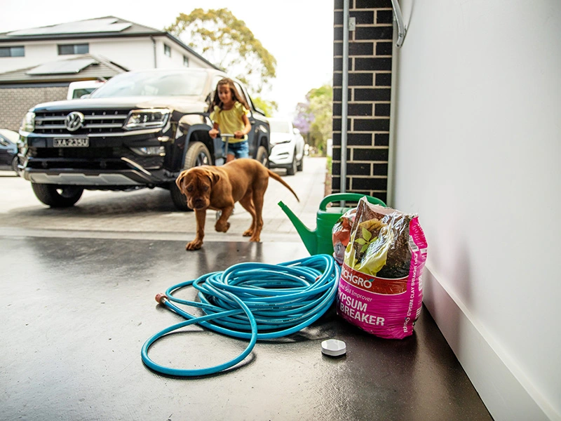 A girl and a dog playing in a front garage